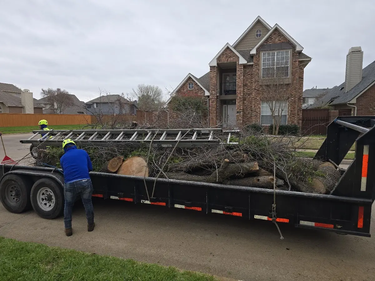 Expert Tree Pest Control with proper safety equipment in Fairburn